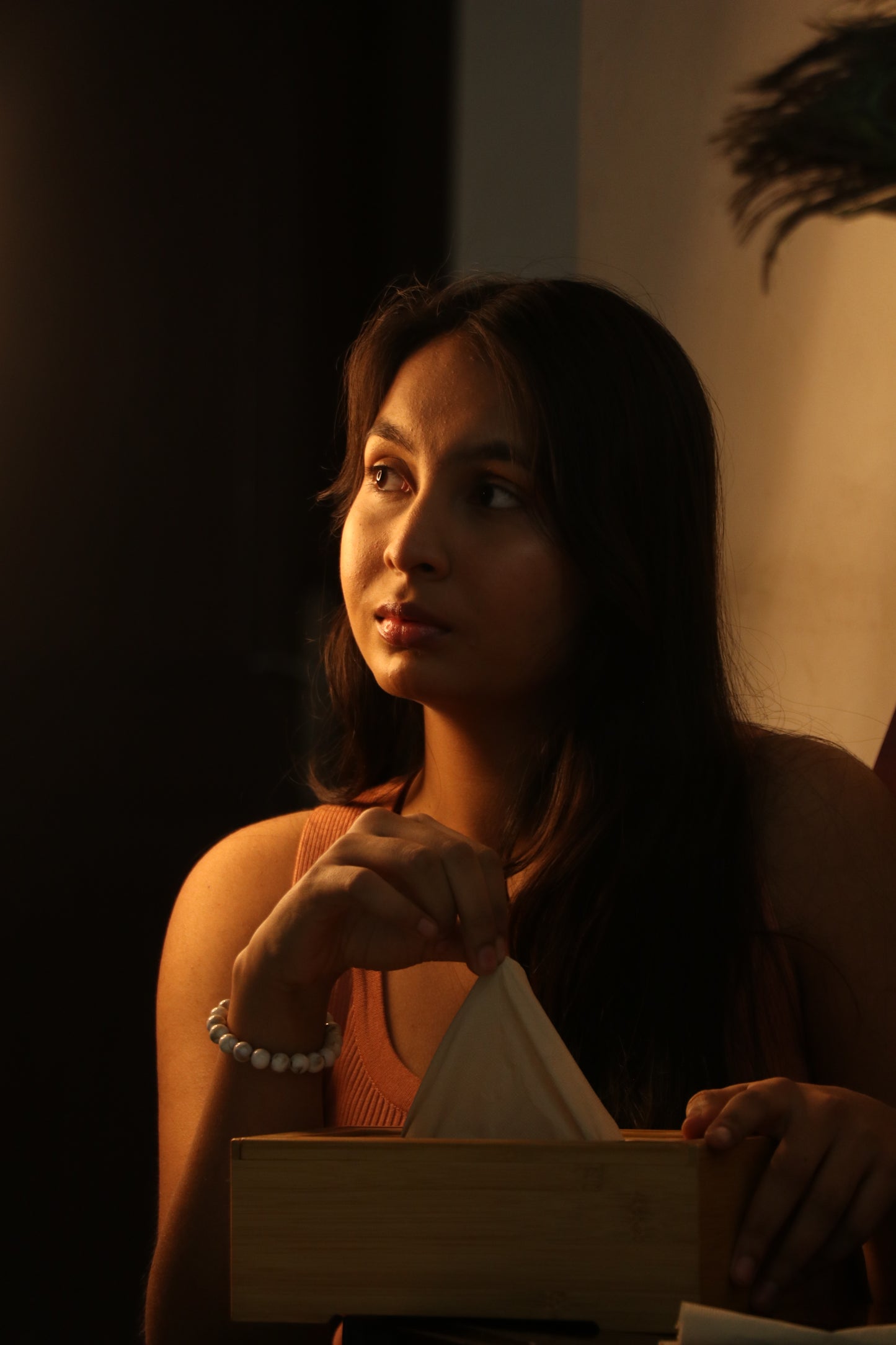 Bamboo Tissue - 100 Pulls