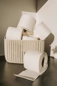 Bamboo toilet tissue - 4 rolls