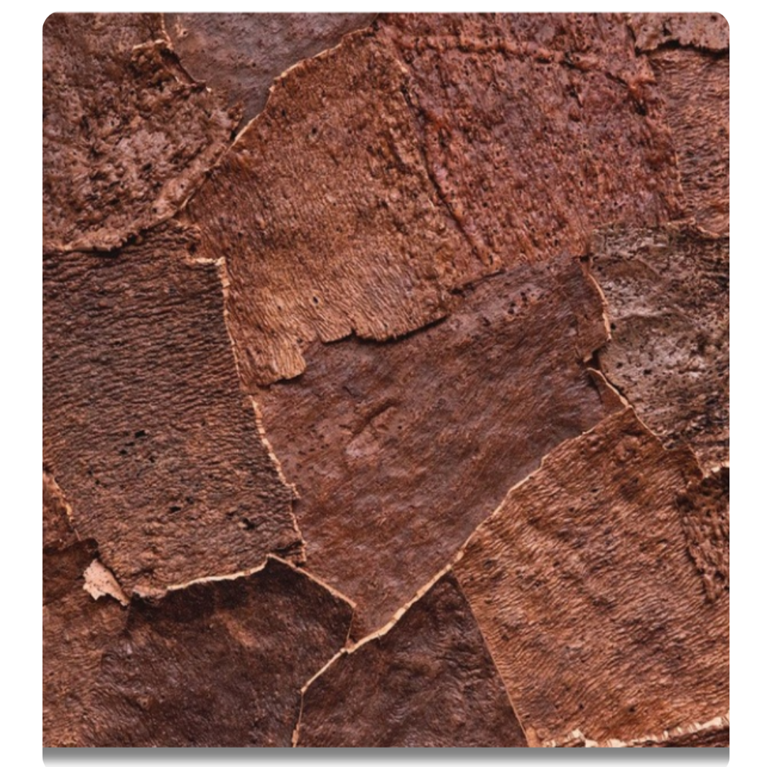 Peeled-Off Bark - 5104